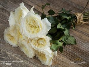 ROSE D. AUSTIN PATIENCE colombie